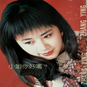 张英 - 爱过以后