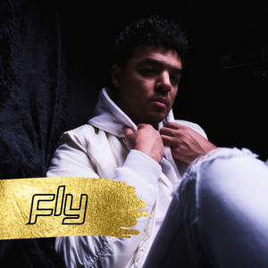 Fly by Ric Angel