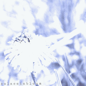 Nothing, Nowhere, Not at Once by Solace in Bloom