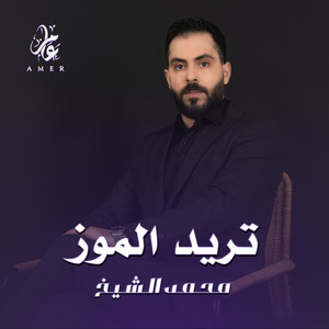 Mohamed El Shaek - تحاكيني بالتركي