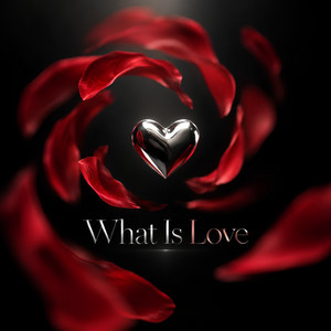 What Is Love - Monster Mix by Dj Monster