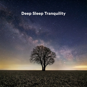 Deep Sleep Tranquility album