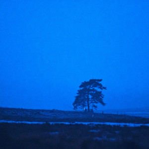 Money Flip & nobody was home - yesterday i had a dream