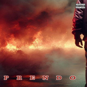 Prendo by Noview