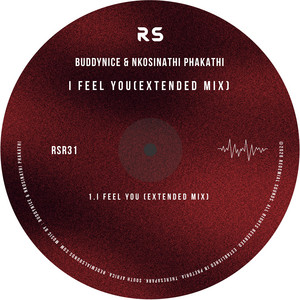 I Feel You - Extended Mix by Buddynice, Nkosinathi Phakathi