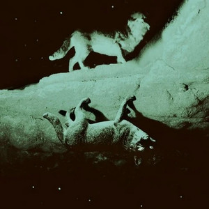 Natura Sonoris - Maxthor Remix by Henry Saiz, Maxthor