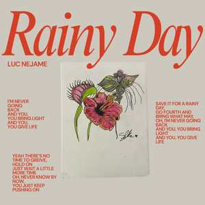 Luc NeJame - Rainy Day
