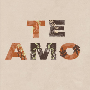 Te amo (acustica)