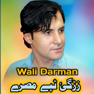 Wali Darman - Zargai Tapey Misrey