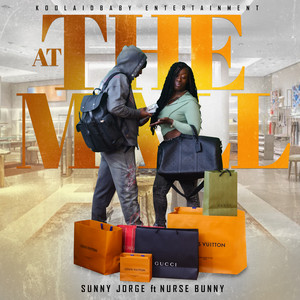At the Mall (feat. Nurse Bunny) by Sunny Jorge, Nurse Bunny