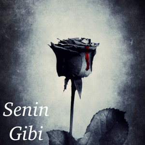 Senin Gibi by Yasa Amenti