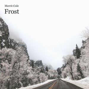 Frost by Merrit Cole