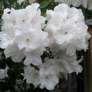 caughtyouboy - Push and Pull Song