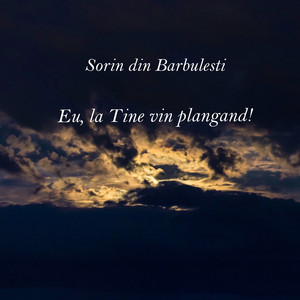 Sorin din Barbulesti - Eu, La Tine Vin Plangand!