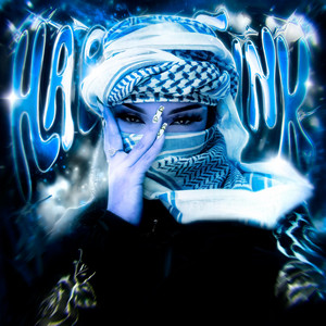BLVKZ & Zoro - HABIBI (SLOWED)