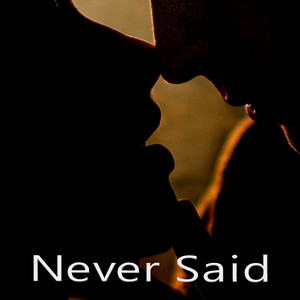 Never Said by Naya Vael