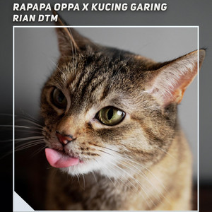 Rapapa Oppa X Kucing Garing by Rian DTM