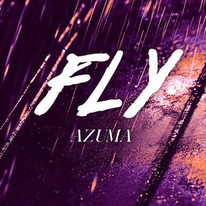 Fly