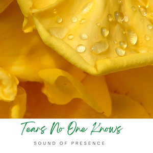 Tears No One Knows by Sound of Presence