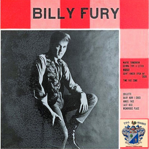 2LP Fury Steele レコード Billy