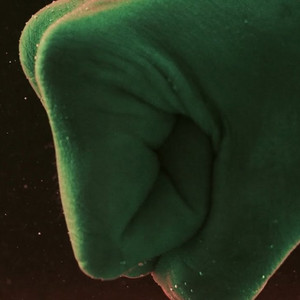 Strang In Pumni (feat. Godina)