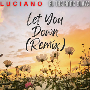 Let You Down (Remix)