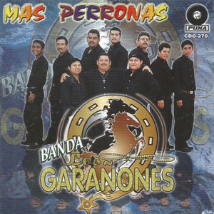 Banda Los Garanones - Mariposa Traicionera