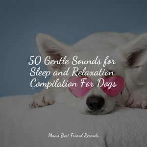 50 Gentle Sounds for Sleep and Relaxation Compilation For Dogs album