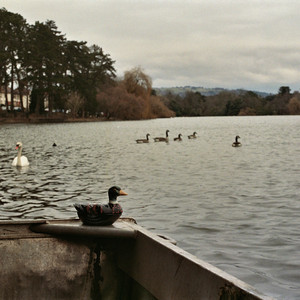 Duck's Back by Part Time Signals