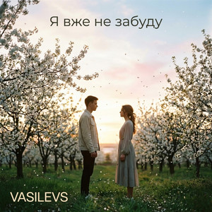 Я вже не забуду by VASILEVS