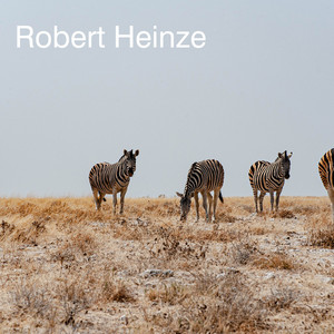 Die nächsten hundert Stunden by Robert Heinze Album Cover