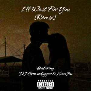 I'll Wait For You - Remix