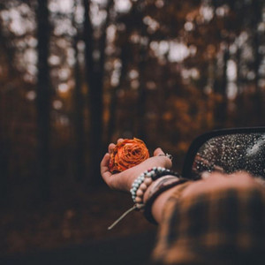 Watt Rock - Kaban Sampai Mati