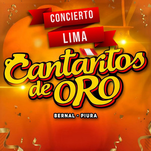 Cantaritos De Oro - Mix Sanjuanero