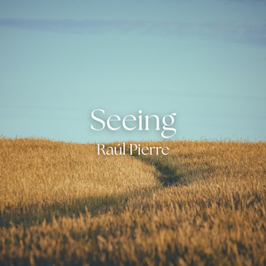 Seeing by Raúl Pierre