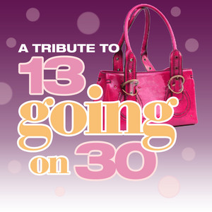 The Soundtrack Tribute Band - Ice Ice Baby