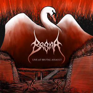 album cover: Live at Brutal Assault