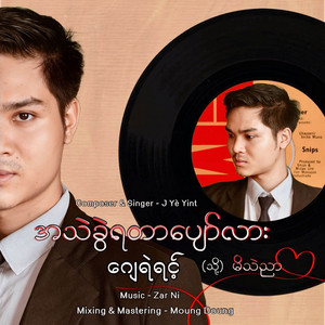 အသဲခွဲရတာပျော်လား (သို့) မိသဲညာ