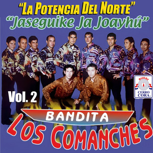 Banda Los Comanches - Triste y Solitario
