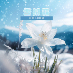 雪绒花 by 土豆王国小乐队