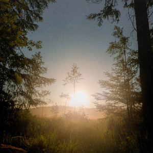 Reflections by Human Is Alive