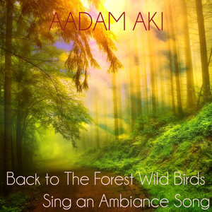 Back to the Forest Wild Birds Sing an Ambiance Song