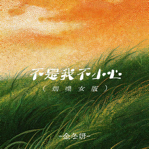 不是我不小心 - 烟嗓女版 by 金冬妍