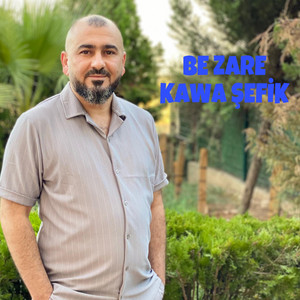 BİRYAR MUZİK - BE ZARE