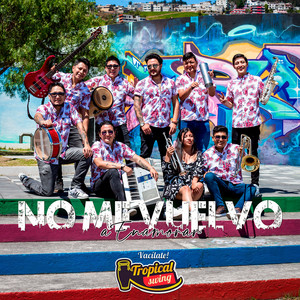No Me Vuelvo A Enamorar by Orquesta Tropical Swing