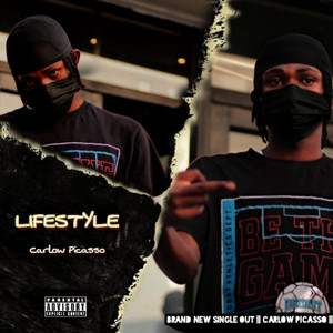 Lifestyle by Carlow Picasso