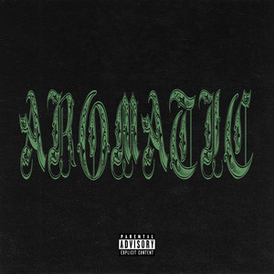 AROMATIC by Koro Mask