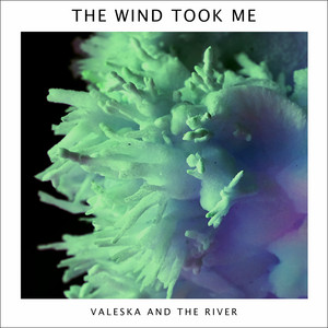 The Wind Took Me by Valeska and the River