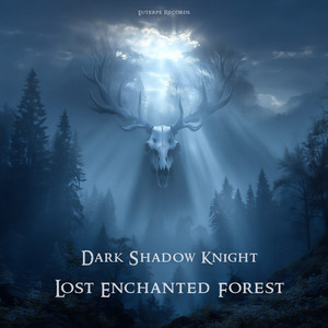 Lost Enchanted Forest by Dark Shadow Knight
