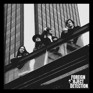 Recently In The Paperpress by Foreign Object Detection